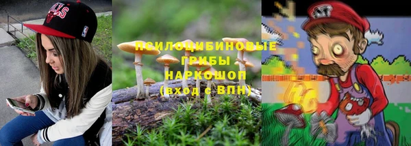 ГАЛЛЮЦИНОГЕННЫЕ ГРИБЫ Алзамай