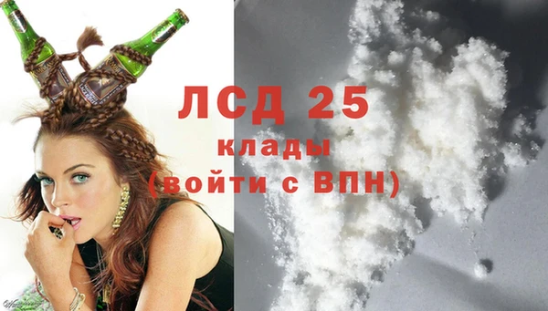 ГАЛЛЮЦИНОГЕННЫЕ ГРИБЫ Алзамай