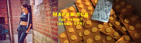 ГАЛЛЮЦИНОГЕННЫЕ ГРИБЫ Алзамай
