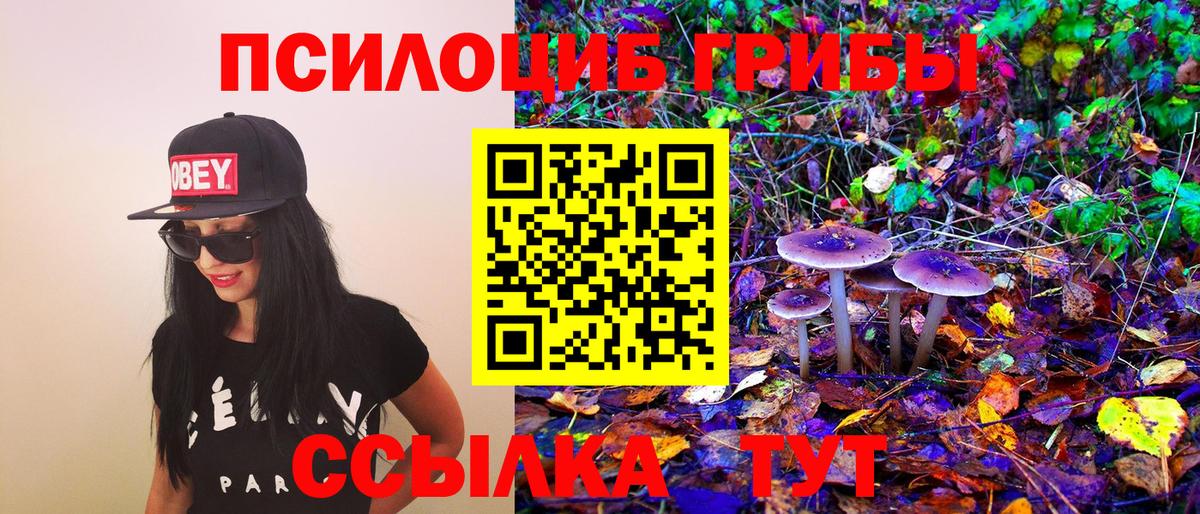 Глазов  Галлюциногенные грибы Psilocybe  Вход с VPN 